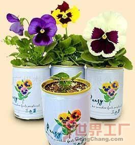 批發易拉罐花卉價格、廠家及機械設備全解析——世界工廠網產品信息庫指南